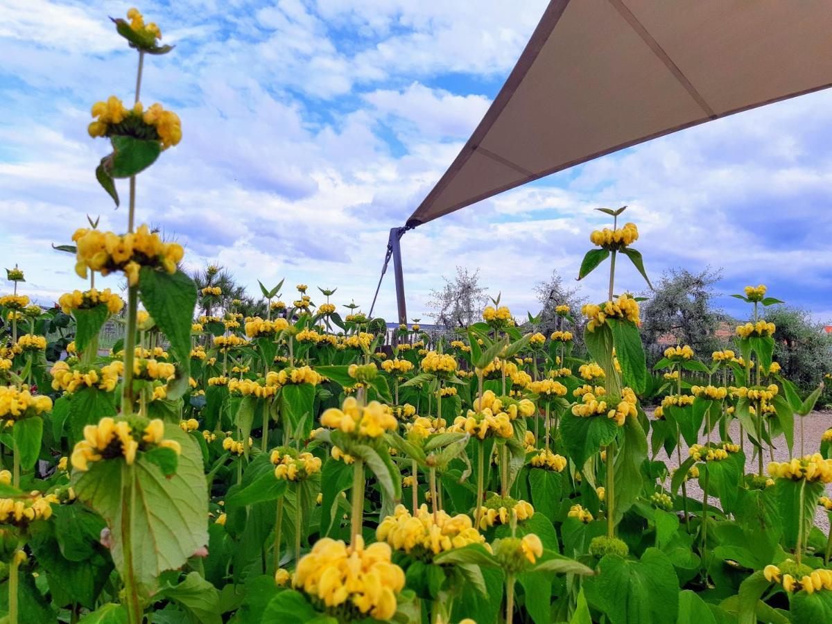 Camping Veld & Duin Hotel Bredene Eksteriør billede